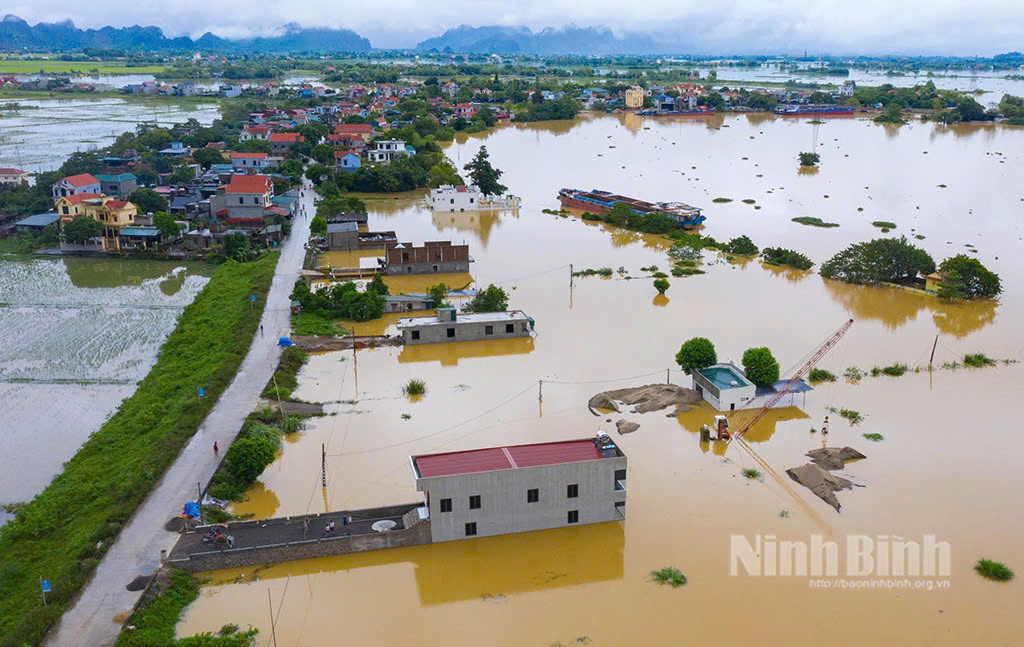 Mực nước trên sông Hoàng Long dâng cao. Ảnh: Báo Ninh Bình.